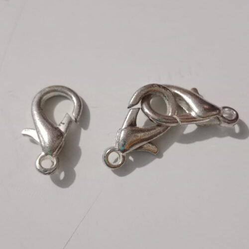 Broche pico de loro grande precio 700 unidad